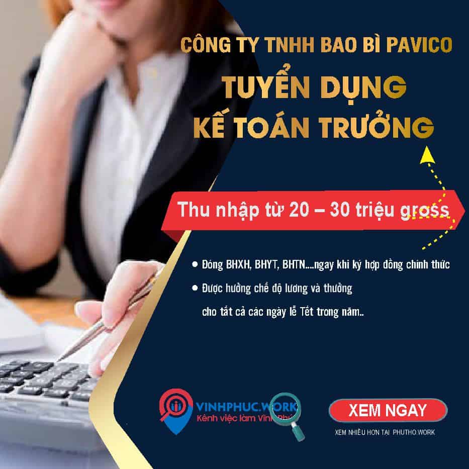 Cong Ty Co Phan Pavico Viet Nam Tuyen Ke Toan Truong 8