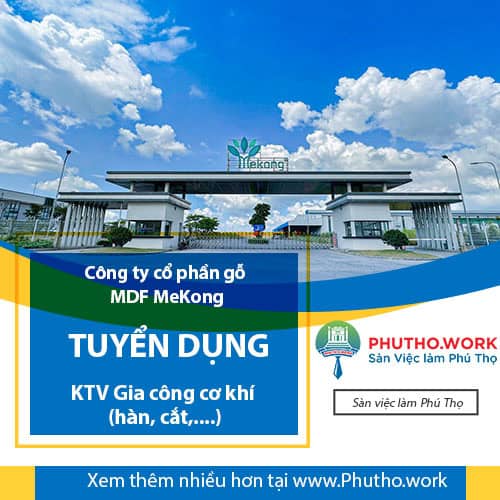 image cong ty co phan go mdf mekong tuyen dung ktv gia cong co khi han cat 3 111025 032146