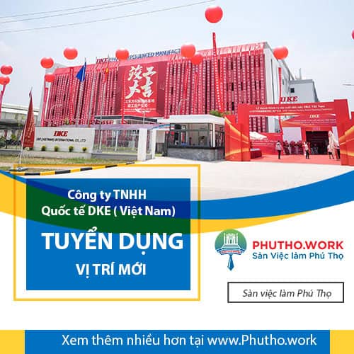 image cong ty tnhh quoc te dke viet nam tuyen dung ke toan vien ke toan thu quy 7 061025 025154