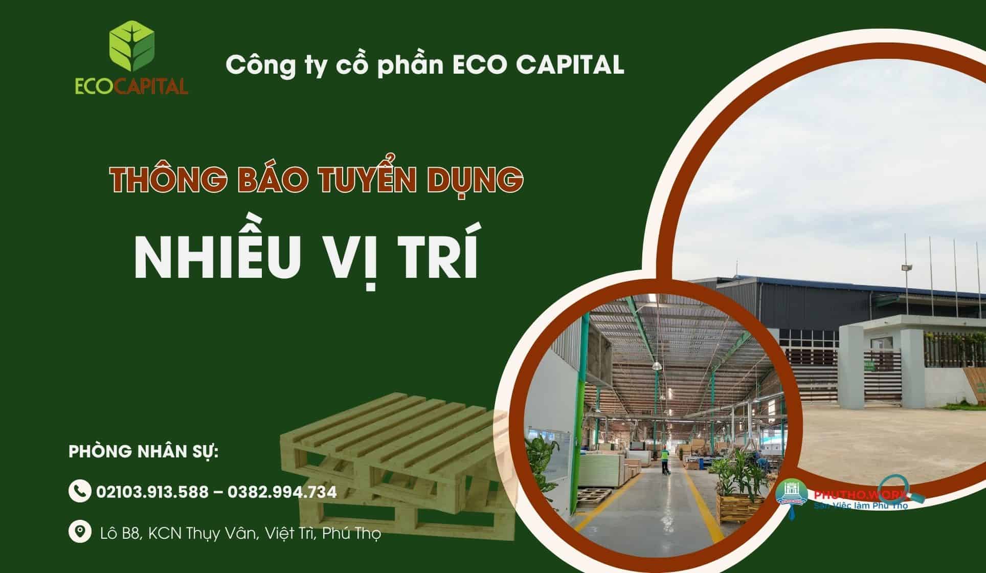 image cong ty co phan eco capital tuyen dung nhieu vi tri dau nam 2026 7 130326 075046